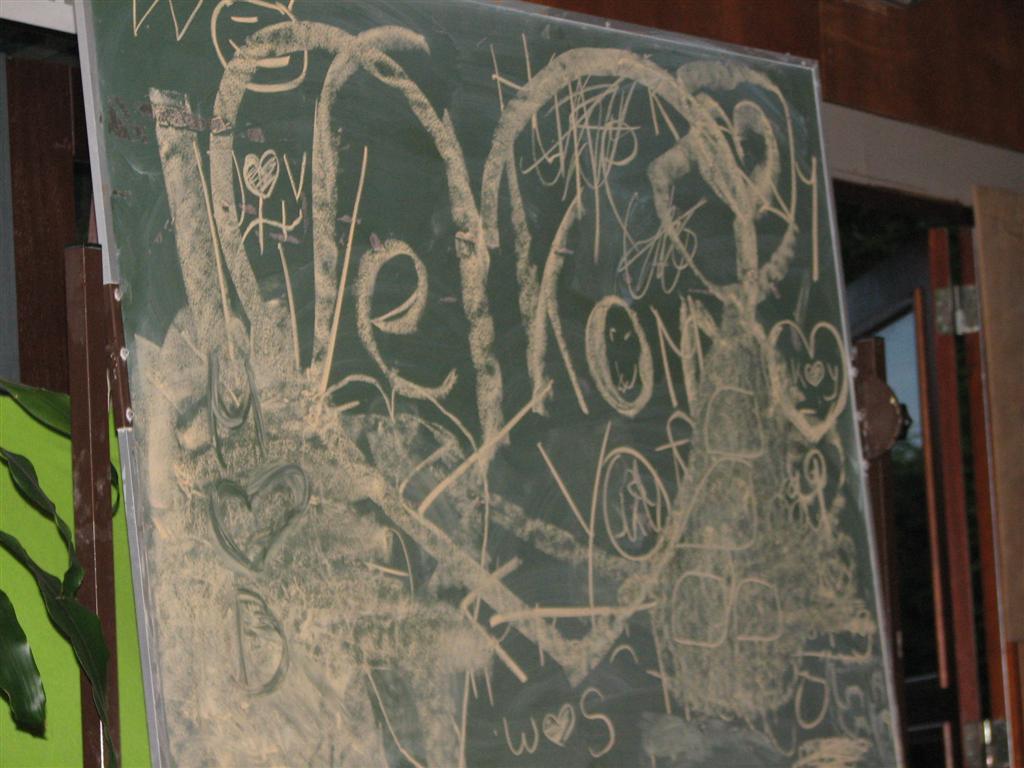 IMG_6204 (Large).jpg